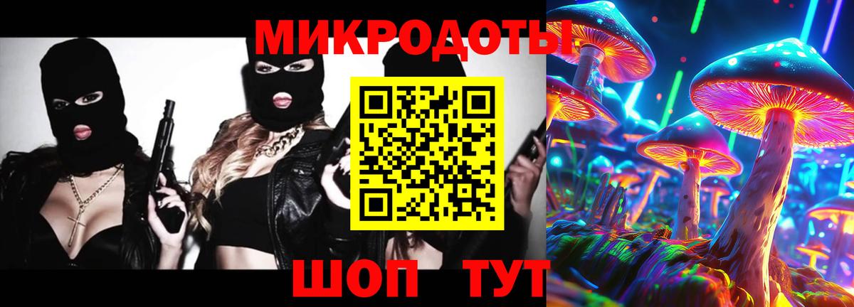 Псилоцибиновые грибы Psilocybe  Вход с VPN  Псилоцибиновые грибы прущие грибы  Киселёвск 