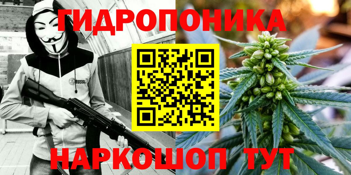 Шишки марихуана сатива  Конопля марихуана  Киселёвск  Каннабис Bruce Banner  Марихуана марихуана  Вход с VPN 